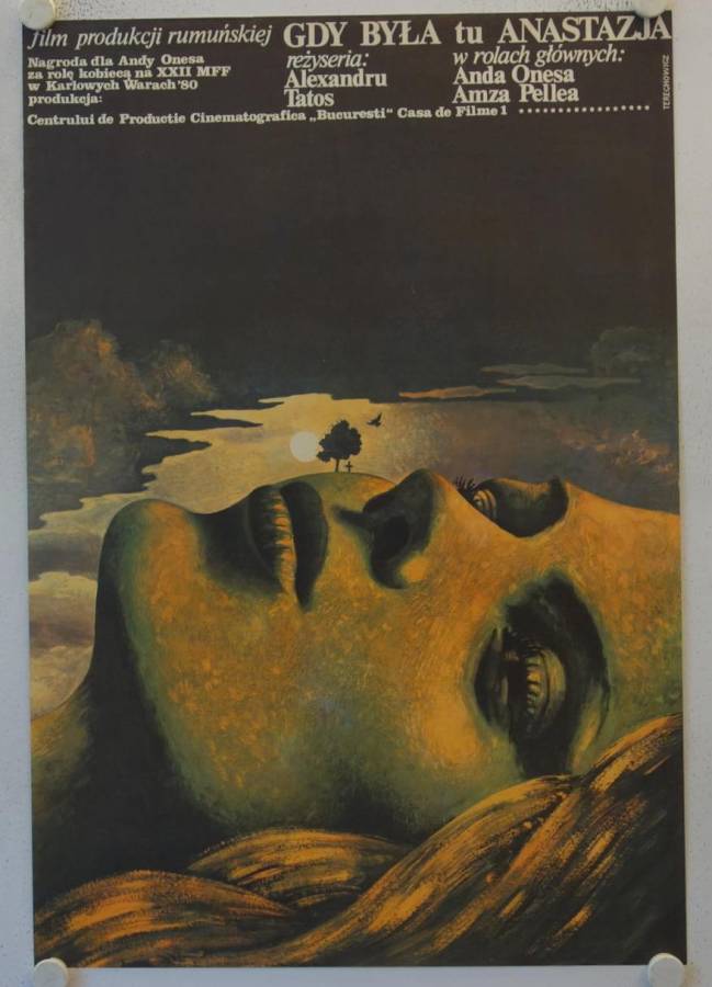 Zärtlich ging Anastasia vorbei originales polnisches Filmplakat